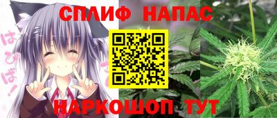 тгк Обь