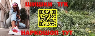 тгк Обь