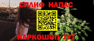 тгк Обь
