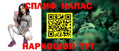 тгк Обь