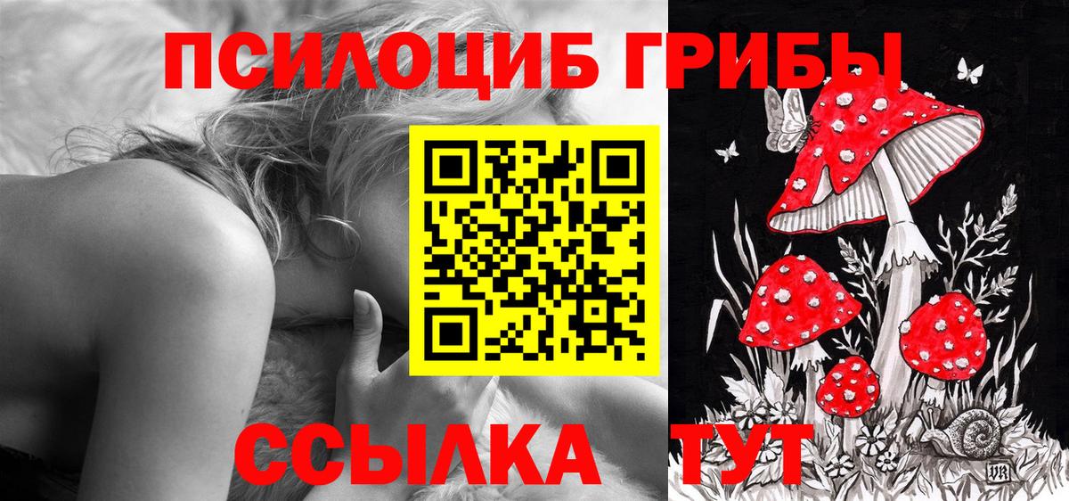 Галлюциногенные грибы Psilocybe  где продают наркотики  Вход с VPN  Стрежевой  Галлюциногенные грибы Magic Shrooms 